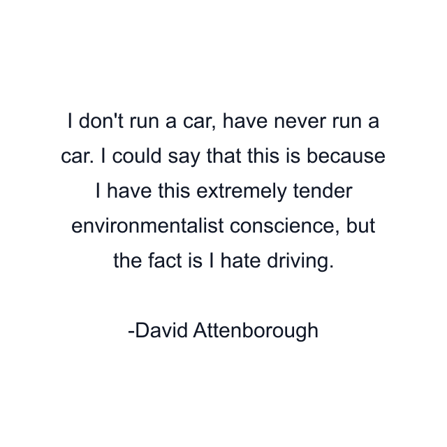 I don't run a car, have never run a car. I could say that this is because I have this extremely tender environmentalist conscience, but the fact is I hate driving.