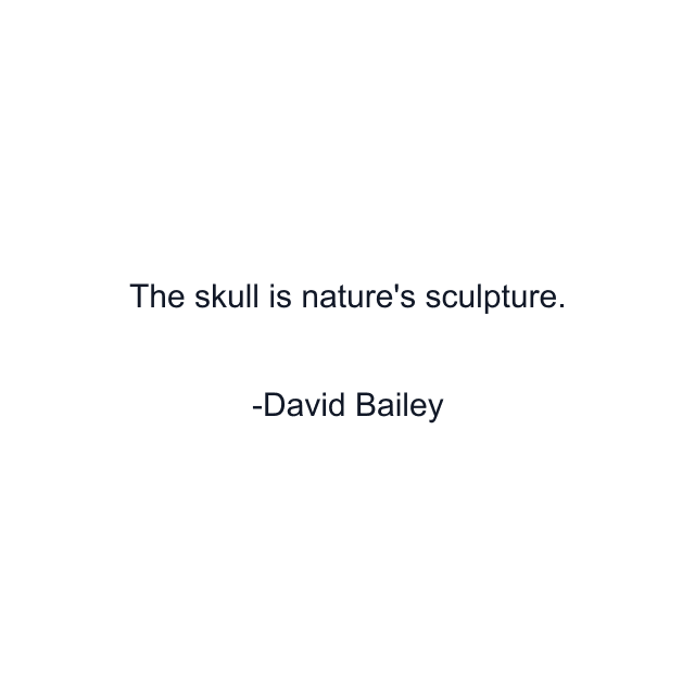 The skull is nature's sculpture.