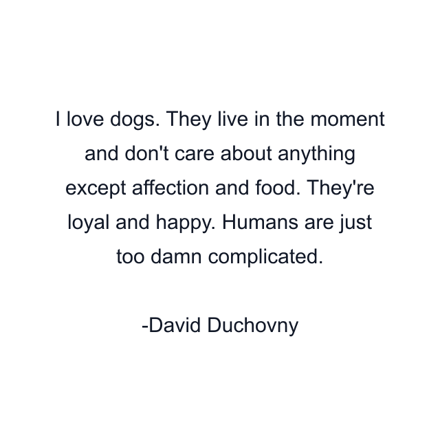 I love dogs. They live in the moment and don't care about anything except affection and food. They're loyal and happy. Humans are just too damn complicated.