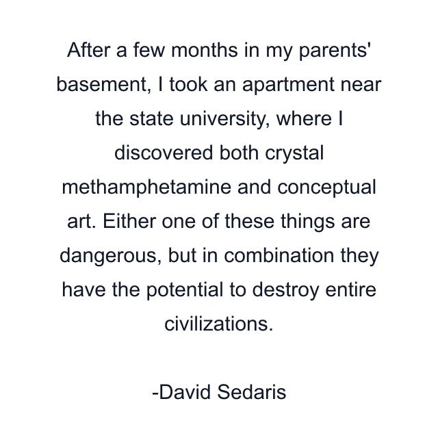 After a few months in my parents' basement, I took an apartment near the state university, where I discovered both crystal methamphetamine and conceptual art. Either one of these things are dangerous, but in combination they have the potential to destroy entire civilizations.