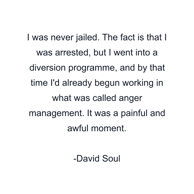 I was never jailed. The fact is that I was arrested, but I went into a diversion programme, and by that time I'd already begun working in what was called anger management. It was a painful and awful moment.