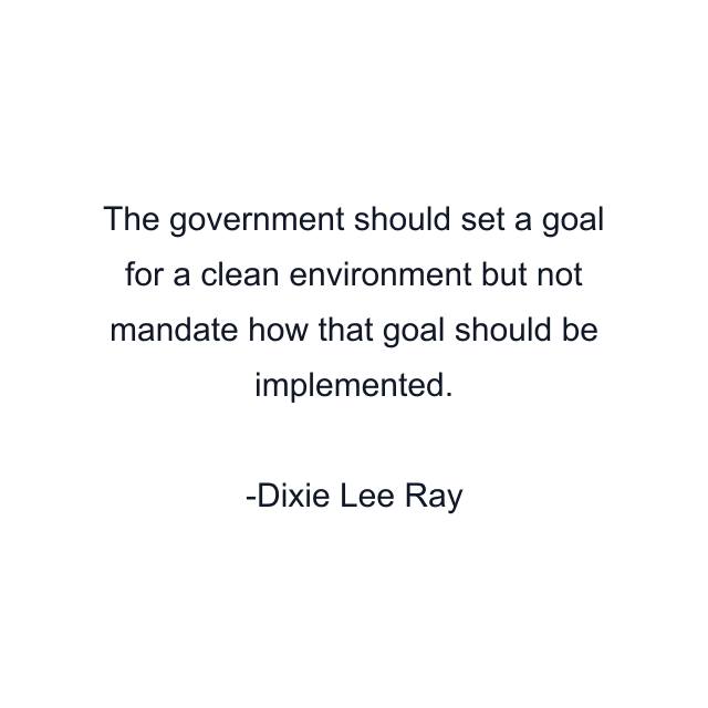 The government should set a goal for a clean environment but not mandate how that goal should be implemented.