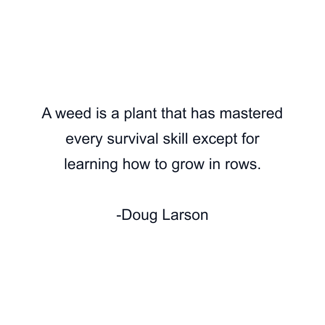 A weed is a plant that has mastered every survival skill except for learning how to grow in rows.