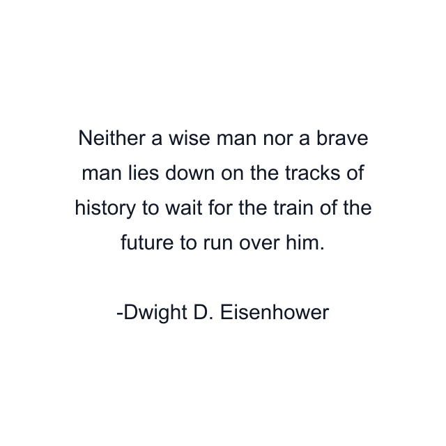 Neither a wise man nor a brave man lies down on the tracks of history to wait for the train of the future to run over him.