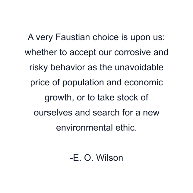 A very Faustian choice is upon us: whether to accept our corrosive and risky behavior as the unavoidable price of population and economic growth, or to take stock of ourselves and search for a new environmental ethic.