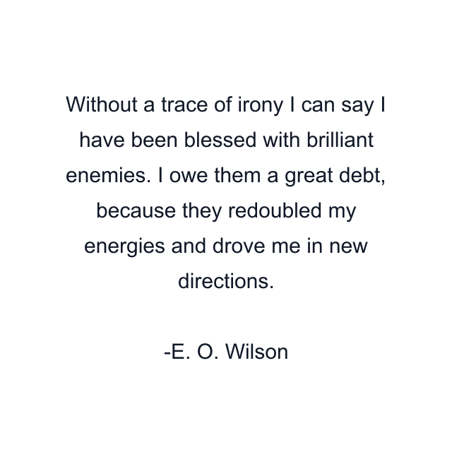 Without a trace of irony I can say I have been blessed with brilliant enemies. I owe them a great debt, because they redoubled my energies and drove me in new directions.