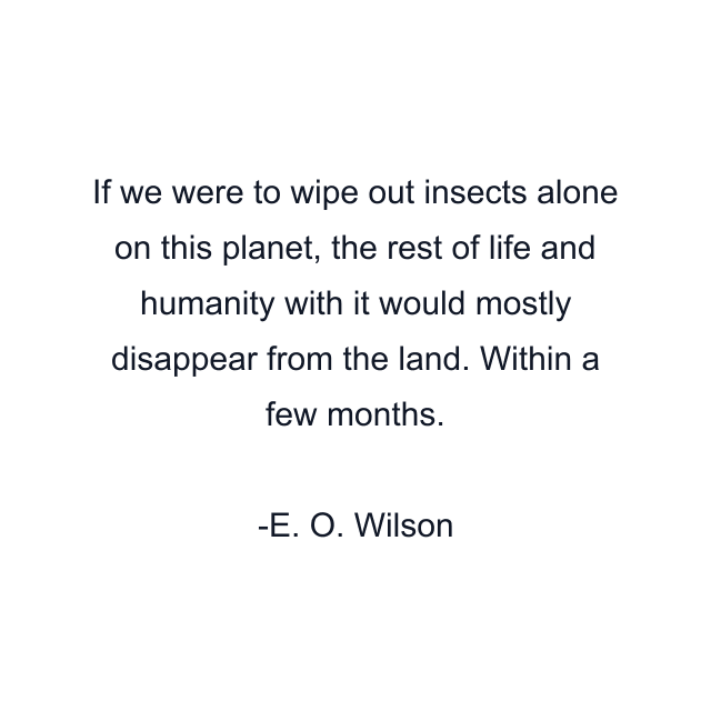 If we were to wipe out insects alone on this planet, the rest of life and humanity with it would mostly disappear from the land. Within a few months.