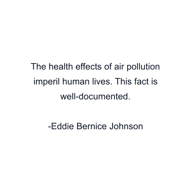 The health effects of air pollution imperil human lives. This fact is well-documented.