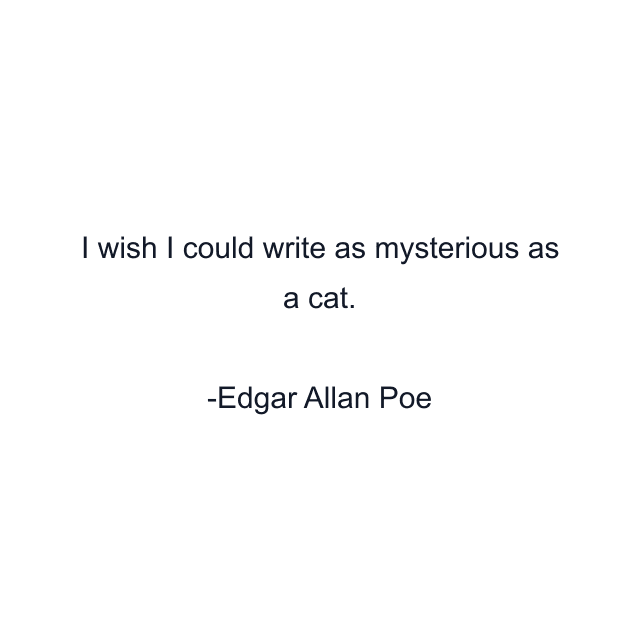 I wish I could write as mysterious as a cat.