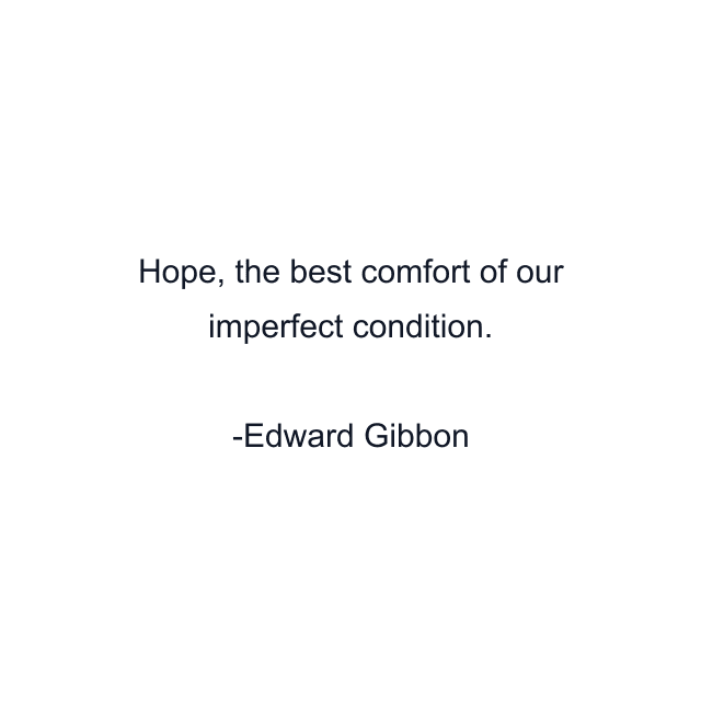 Hope, the best comfort of our imperfect condition.