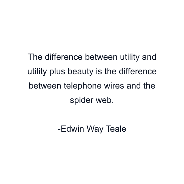 The difference between utility and utility plus beauty is the difference between telephone wires and the spider web.