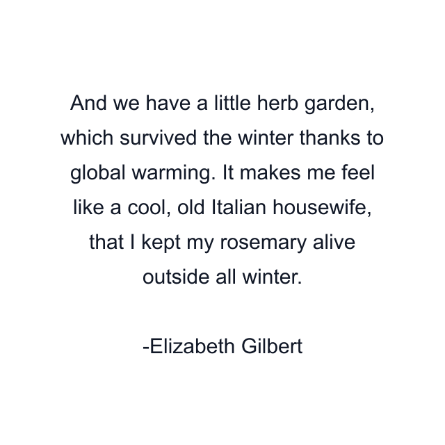 And we have a little herb garden, which survived the winter thanks to global warming. It makes me feel like a cool, old Italian housewife, that I kept my rosemary alive outside all winter.