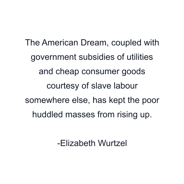 The American Dream, coupled with government subsidies of utilities and cheap consumer goods courtesy of slave labour somewhere else, has kept the poor huddled masses from rising up.