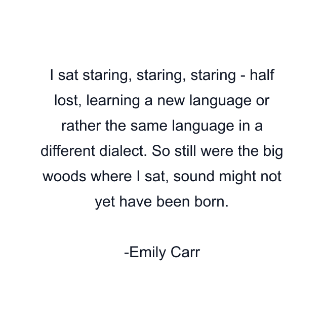 I sat staring, staring, staring - half lost, learning a new language or rather the same language in a different dialect. So still were the big woods where I sat, sound might not yet have been born.