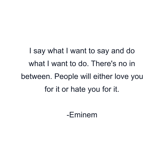 I say what I want to say and do what I want to do. There's no in between. People will either love you for it or hate you for it.