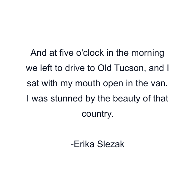 And at five o'clock in the morning we left to drive to Old Tucson, and I sat with my mouth open in the van. I was stunned by the beauty of that country.