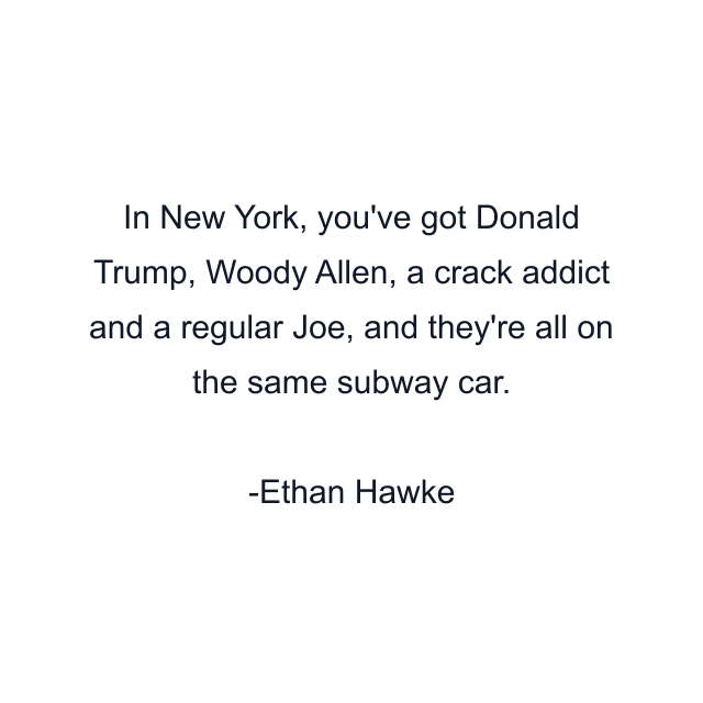 In New York, you've got Donald Trump, Woody Allen, a crack addict and a regular Joe, and they're all on the same subway car.