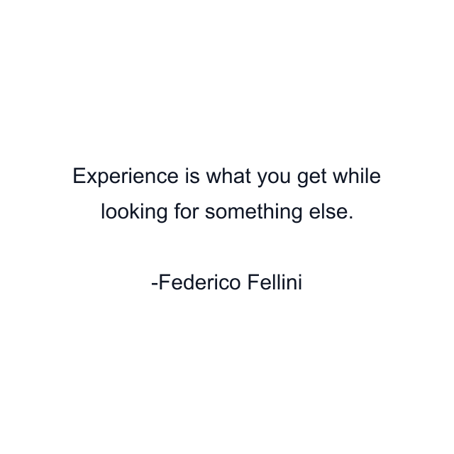 Experience is what you get while looking for something else.