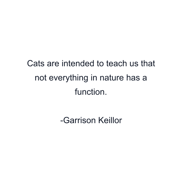 Cats are intended to teach us that not everything in nature has a function.