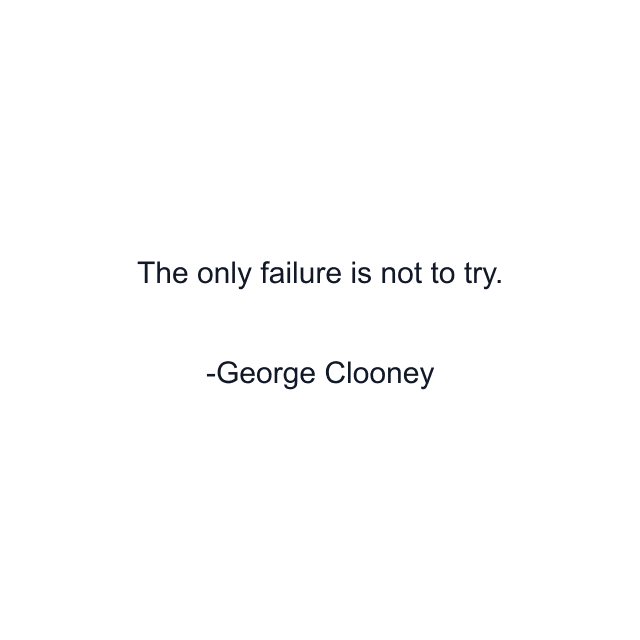 The only failure is not to try.