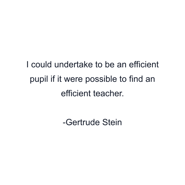 I could undertake to be an efficient pupil if it were possible to find an efficient teacher.