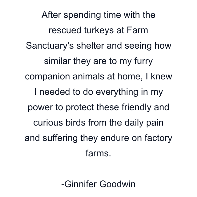 After spending time with the rescued turkeys at Farm Sanctuary's shelter and seeing how similar they are to my furry companion animals at home, I knew I needed to do everything in my power to protect these friendly and curious birds from the daily pain and suffering they endure on factory farms.