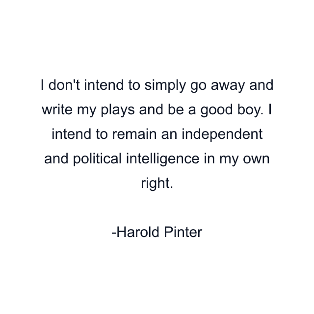 I don't intend to simply go away and write my plays and be a good boy. I intend to remain an independent and political intelligence in my own right.