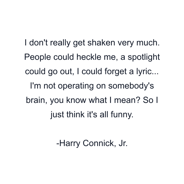 I don't really get shaken very much. People could heckle me, a spotlight could go out, I could forget a lyric... I'm not operating on somebody's brain, you know what I mean? So I just think it's all funny.