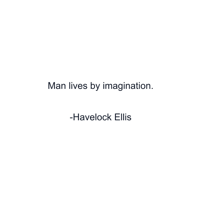 Man lives by imagination.