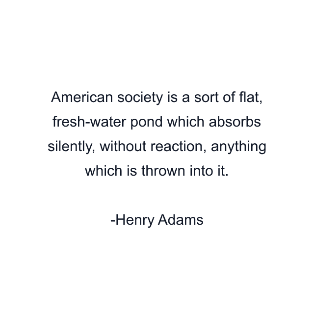 American society is a sort of flat, fresh-water pond which absorbs silently, without reaction, anything which is thrown into it.