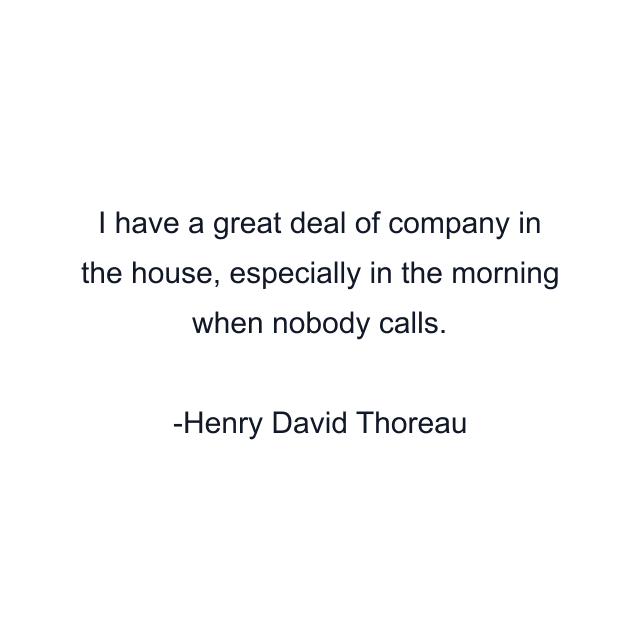 I have a great deal of company in the house, especially in the morning when nobody calls.