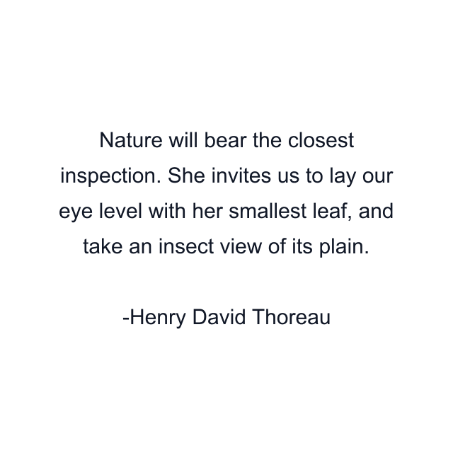 Nature will bear the closest inspection. She invites us to lay our eye level with her smallest leaf, and take an insect view of its plain.