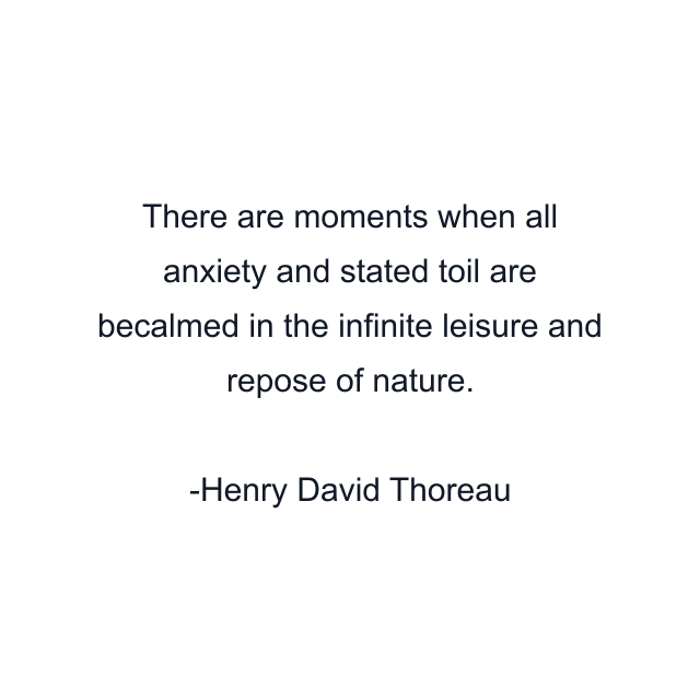 There are moments when all anxiety and stated toil are becalmed in the infinite leisure and repose of nature.