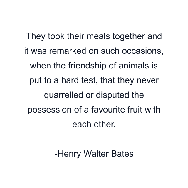 They took their meals together and it was remarked on such occasions, when the friendship of animals is put to a hard test, that they never quarrelled or disputed the possession of a favourite fruit with each other.