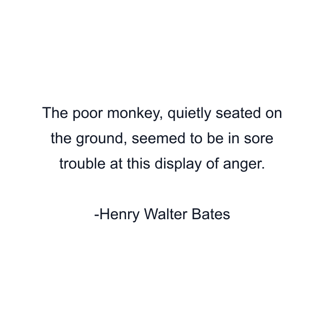 The poor monkey, quietly seated on the ground, seemed to be in sore trouble at this display of anger.