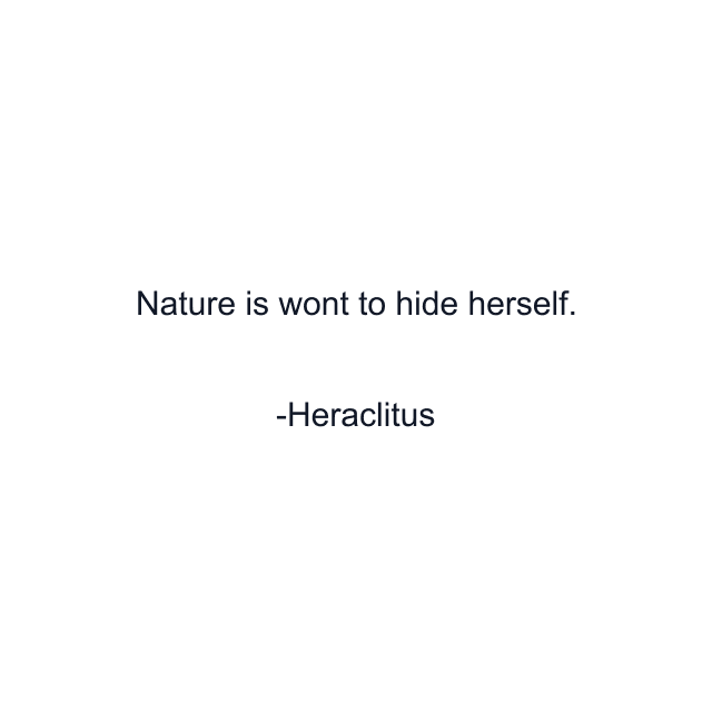 Nature is wont to hide herself.