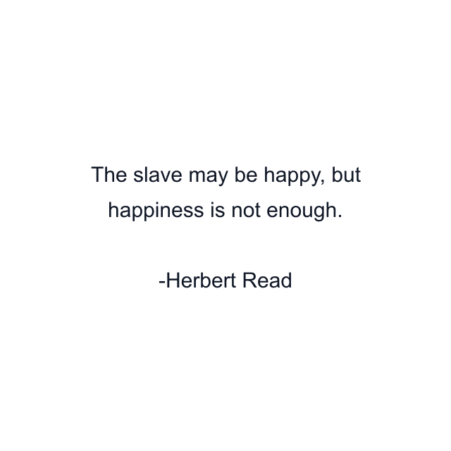 The slave may be happy, but happiness is not enough.