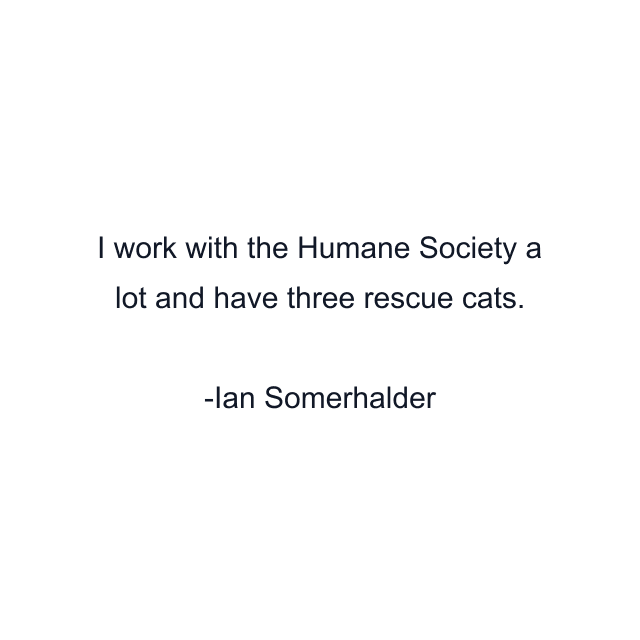 I work with the Humane Society a lot and have three rescue cats.