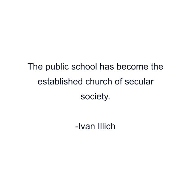 The public school has become the established church of secular society.