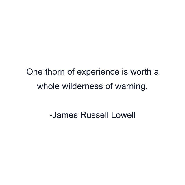 One thorn of experience is worth a whole wilderness of warning.