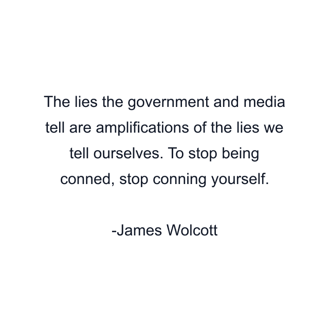 The lies the government and media tell are amplifications of the lies we tell ourselves. To stop being conned, stop conning yourself.