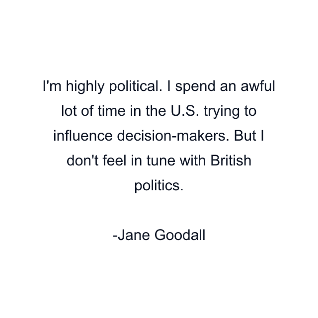 I'm highly political. I spend an awful lot of time in the U.S. trying to influence decision-makers. But I don't feel in tune with British politics.