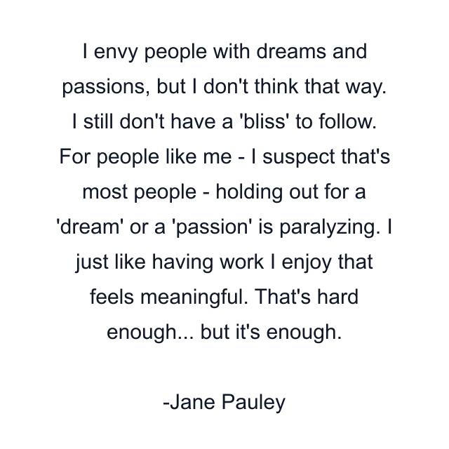 I envy people with dreams and passions, but I don't think that way. I still don't have a 'bliss' to follow. For people like me - I suspect that's most people - holding out for a 'dream' or a 'passion' is paralyzing. I just like having work I enjoy that feels meaningful. That's hard enough... but it's enough.