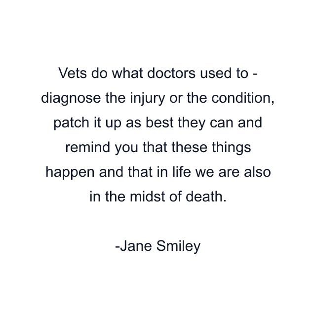 Vets do what doctors used to - diagnose the injury or the condition, patch it up as best they can and remind you that these things happen and that in life we are also in the midst of death.