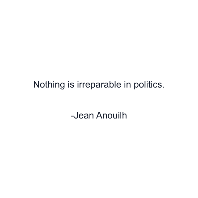 Nothing is irreparable in politics.