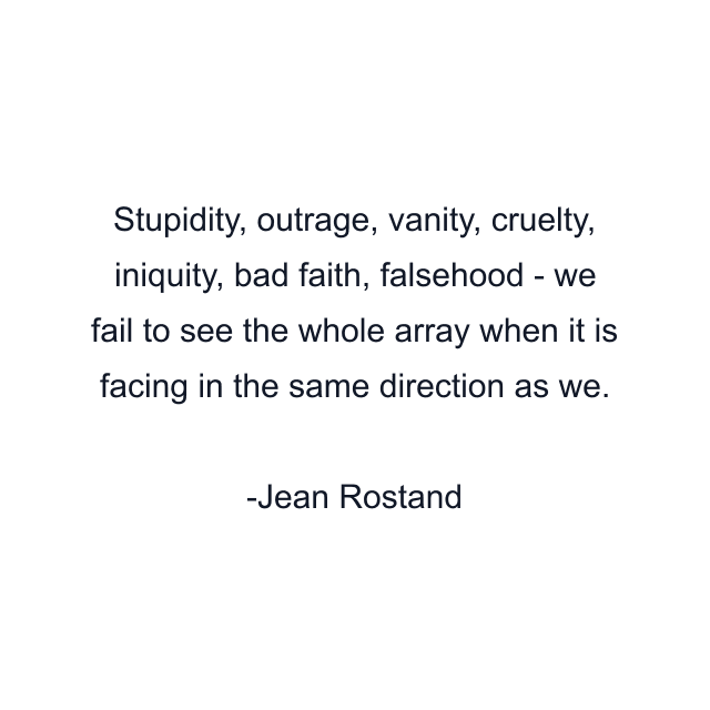 Stupidity, outrage, vanity, cruelty, iniquity, bad faith, falsehood - we fail to see the whole array when it is facing in the same direction as we.