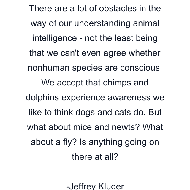 There are a lot of obstacles in the way of our understanding animal intelligence - not the least being that we can't even agree whether nonhuman species are conscious. We accept that chimps and dolphins experience awareness we like to think dogs and cats do. But what about mice and newts? What about a fly? Is anything going on there at all?