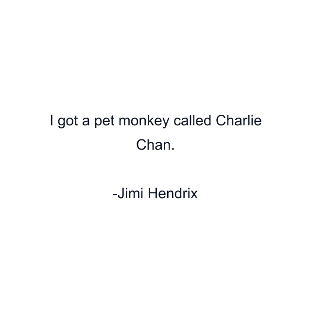 I got a pet monkey called Charlie Chan.