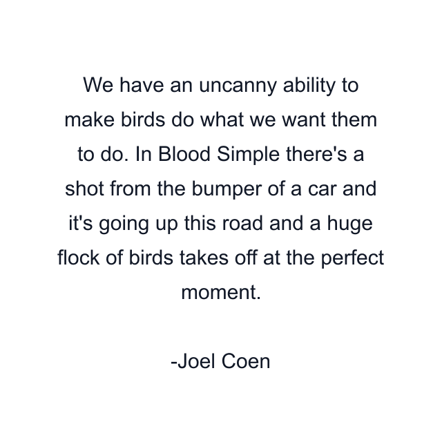 We have an uncanny ability to make birds do what we want them to do. In Blood Simple there's a shot from the bumper of a car and it's going up this road and a huge flock of birds takes off at the perfect moment.