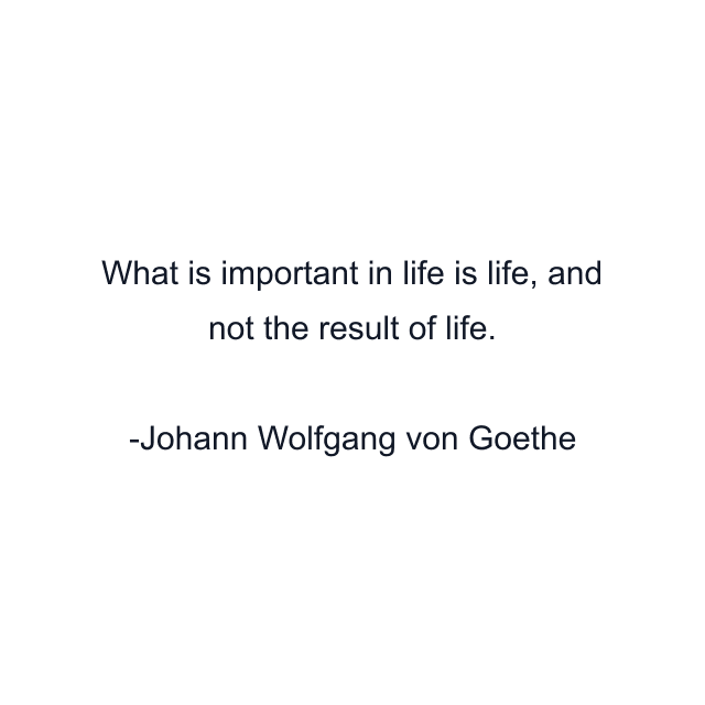 What is important in life is life, and not the result of life.